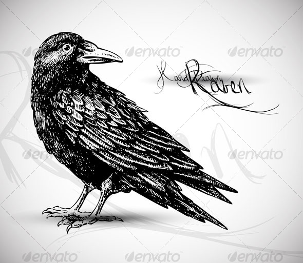 hand drawn raven