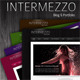 Intermezzo - Portfolio and Blog WordPress Theme - ThemeForest Item for Sale
