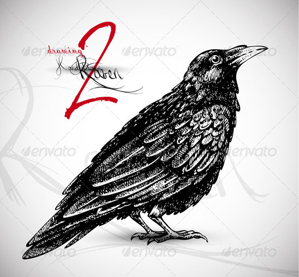 raven drawing
