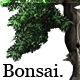 FC Bonsai