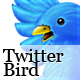 FC Twitter Bird