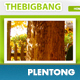 BigBang - Creative Company Template