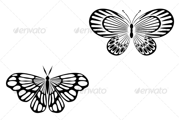 Butterfly tattoo isolated on white. DESIGN ELEMENTS