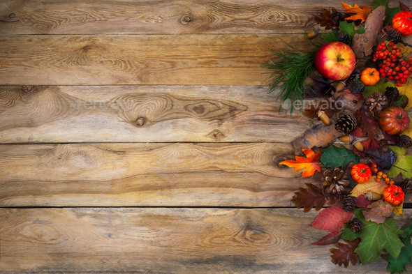 Rustic fall background with pumpkin, apples and cones ...