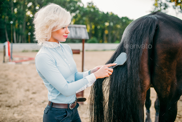 Young woman combing the tail of the horse Stock Photo by NomadSoul1