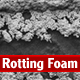 Rotting Foam