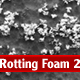 Rotting Foam 2