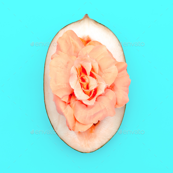 Melon and Rose. Minimal art style design Stock Photo by EvgeniyaPorechenskaya
