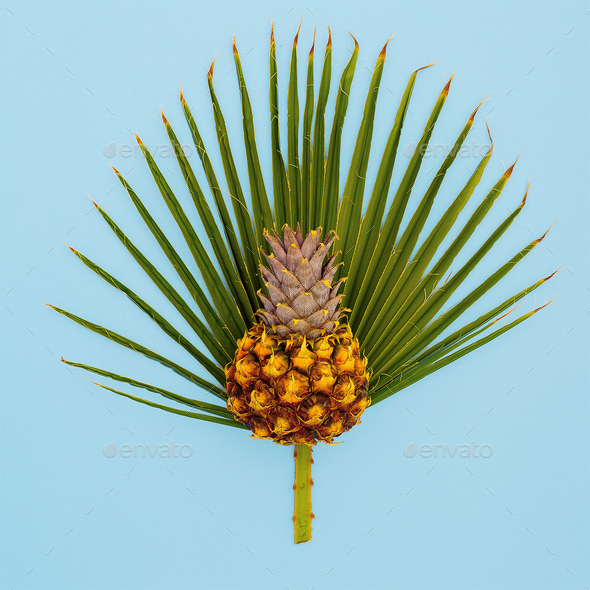 Pineapple and palm leaf. Vacation concept. Minimal art Stock Photo by EvgeniyaPorechenskaya