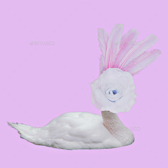 Fashion collage art. Photo manipulation. Hybrid of swan and flo Stock Photo by EvgeniyaPorechenskaya