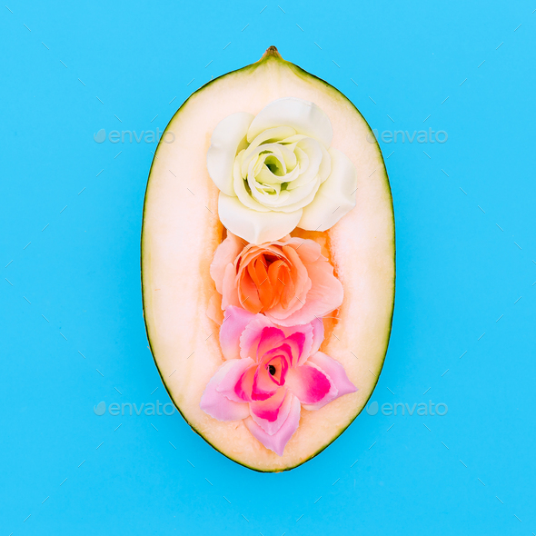 Melon and Roses. Minimal art style Stock Photo by EvgeniyaPorechenskaya