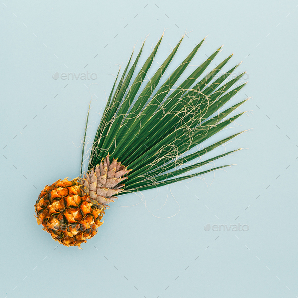 Mini Pineapple and Palm leaf. Vacation concept. Minimal art desi Stock Photo by EvgeniyaPorechenskaya