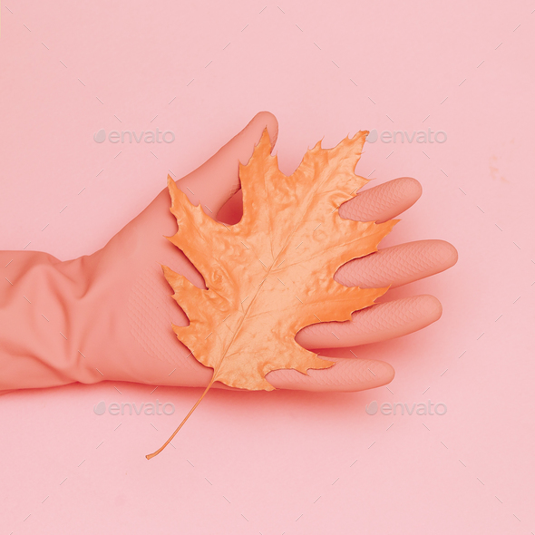 Autumn leaf and hand. Minimal art design Stock Photo by EvgeniyaPorechenskaya