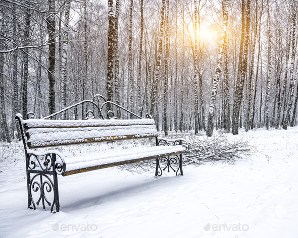 Park bench and trees covered by heavy snow Stock Photo by Pilat666