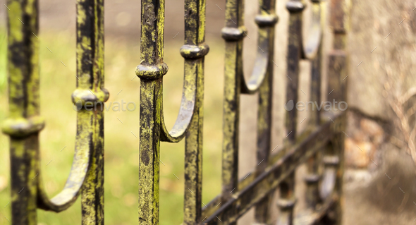 Old mossy iron gate Stock Photo by Elegant01 | PhotoDune