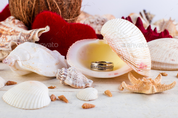 Engaged ring seashell Stock Photo by bondarillia | PhotoDune