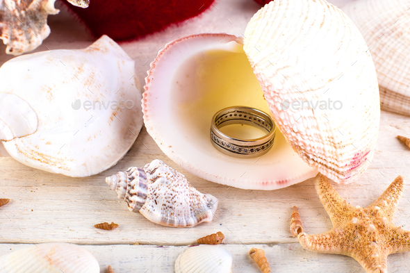 Engaged ring seashell Stock Photo by bondarillia | PhotoDune