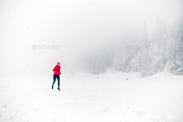 Winter running on snow in white forest and mountains Stock Photo by blas