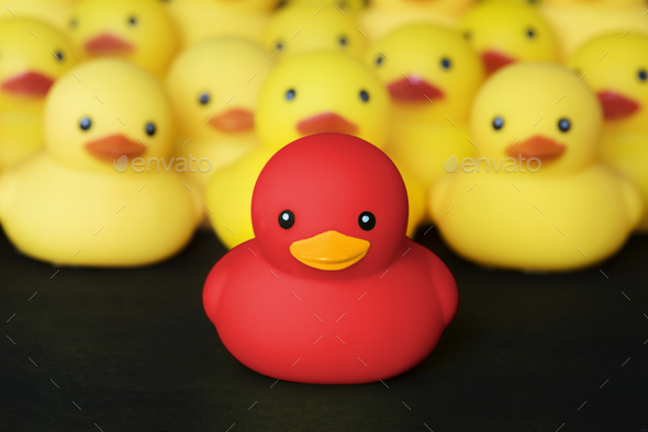 Closeup of rubber duckies Stock Photo by Rawpixel | PhotoDune