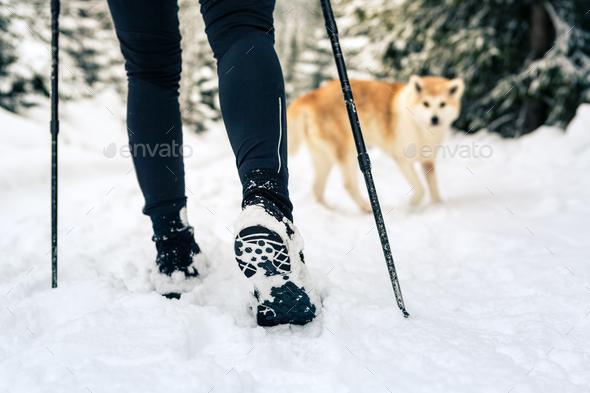 Backpacker hiking walking in winter forest with dog Stock Photo by blas