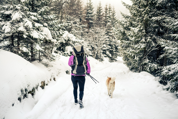 Woman walking in winter forest with dog Stock Photo by blas | PhotoDune