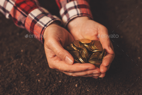 Agricultural productivity, money yield and income after harvest Stock Photo by stevanovicigor