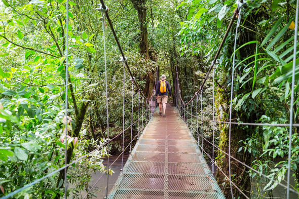 Hike in Costa Rica Stock Photo by Galyna_Andrushko | PhotoDune