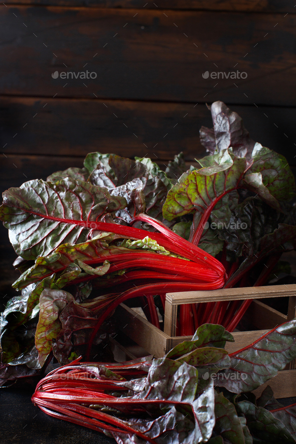 Fresh red chard Stock Photo by katrinshine | PhotoDune