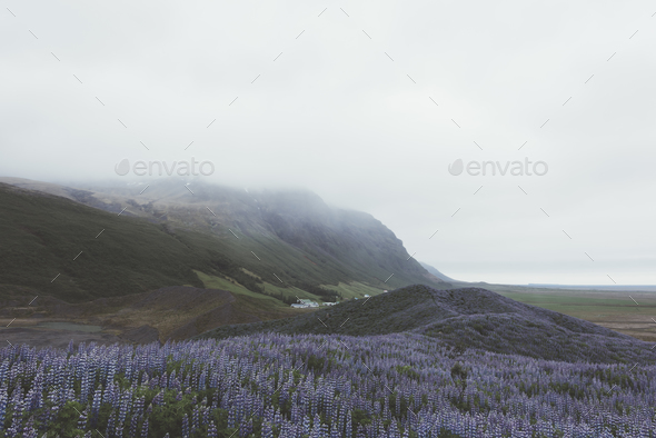 Typical Iceland landscape Stock Photo by ivankmit | PhotoDune
