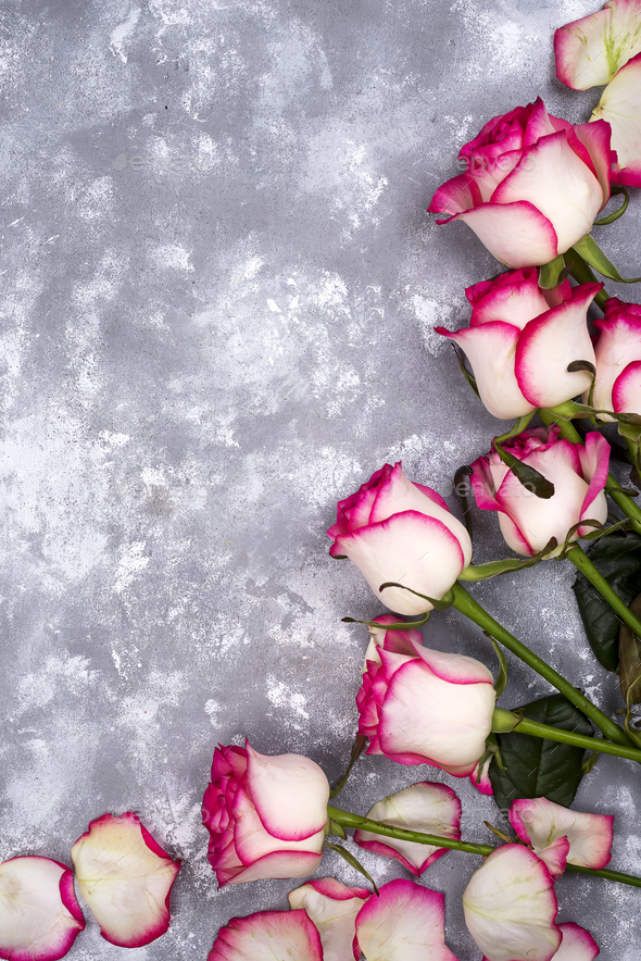 Beautiful rose flowers on gray stone table. Floral border. Stock Photo by lyulkamazur