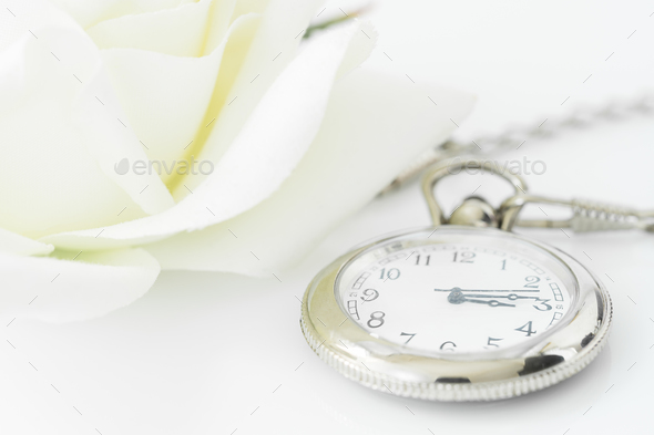 Wedding Rings On White Background 3 Stock Photo By Stoonn Photodune Wedding Rings On White Background 3 Stock Photo Images