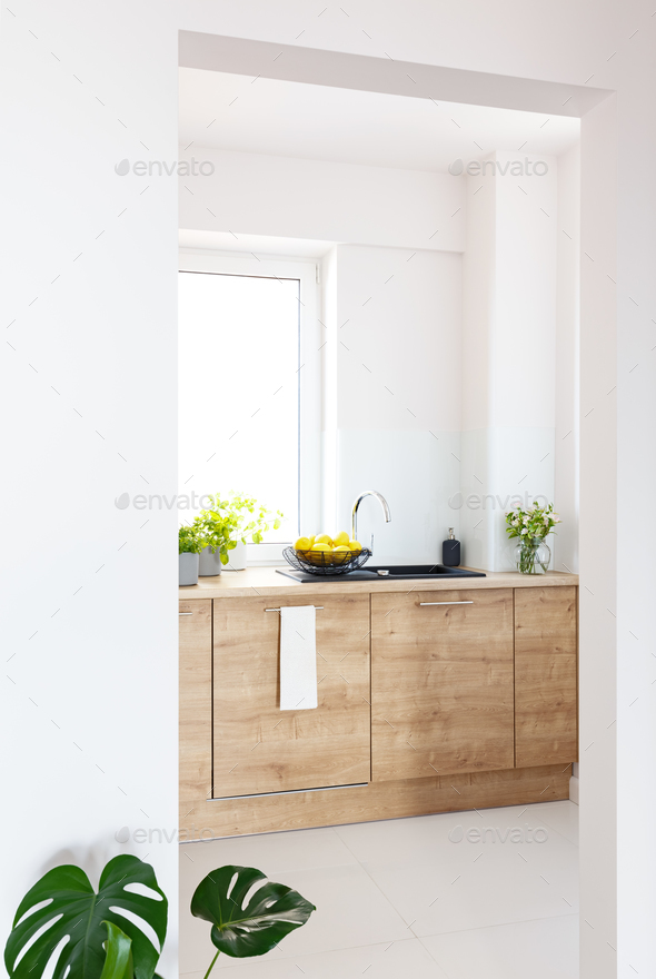 Plants on wooden cabinet in white simple kitchen interior with w Stock Photo by bialasiewicz