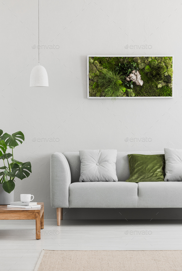 Framed, green moss garden on a white wall in a trendy living roo Stock Photo by bialasiewicz