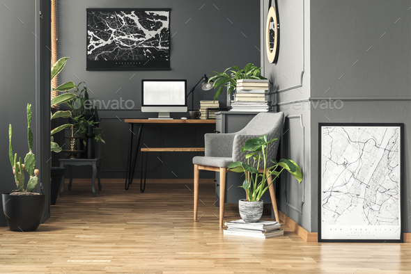 Fresh green plants in real photo of dark room interior with wain Stock Photo by bialasiewicz