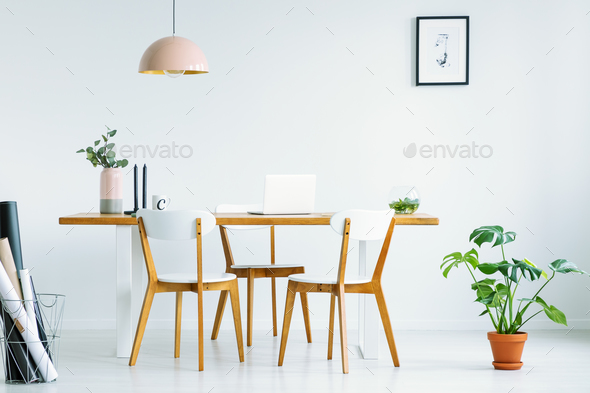 Pink lamp above wooden chairs at table in white interior with po Stock Photo by bialasiewicz