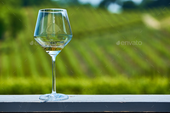 Glass of white wine and vineyards Stock Photo by haveseen | PhotoDune