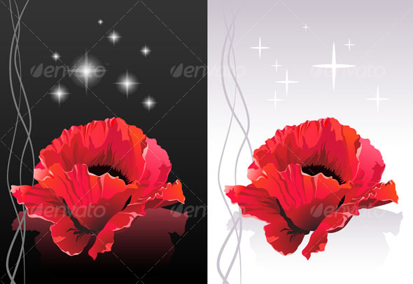 red poppy background