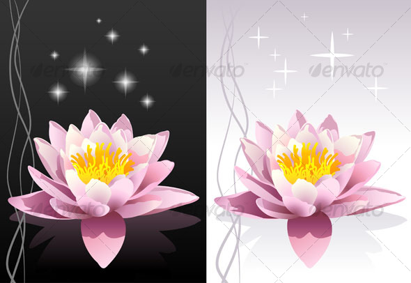 pink sacred indian lotus background