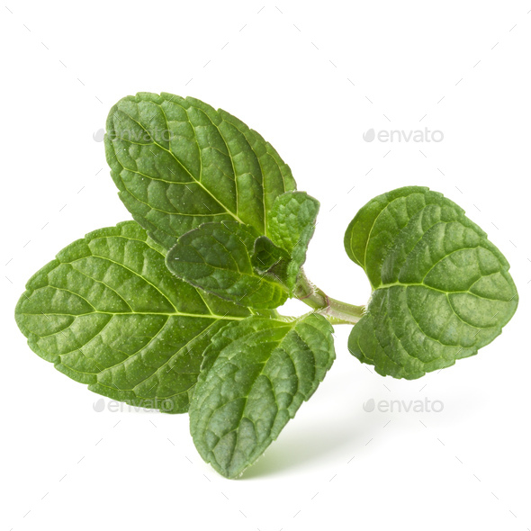 Fresh Mint Herb Leaves Isolated On White Background Cutout Stock Photo