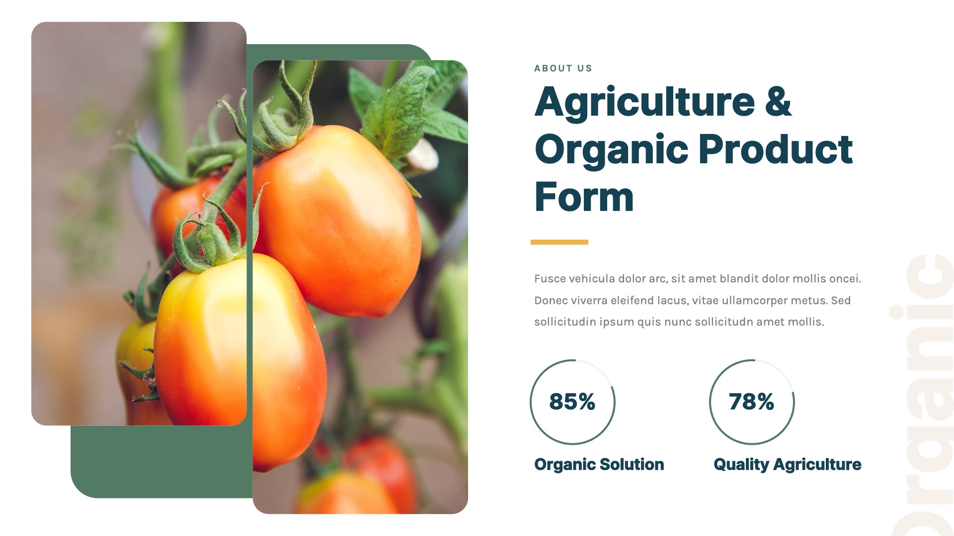 AGROLEA Organic Farm Agriculture Powerpoint Template Presentation