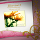 WeddingAlbum