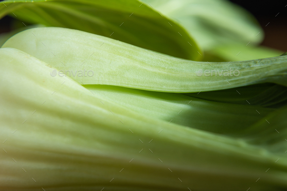 Fresh Green Bok Choy Or Pac Choi Chinese Cabbage Side View Close Up