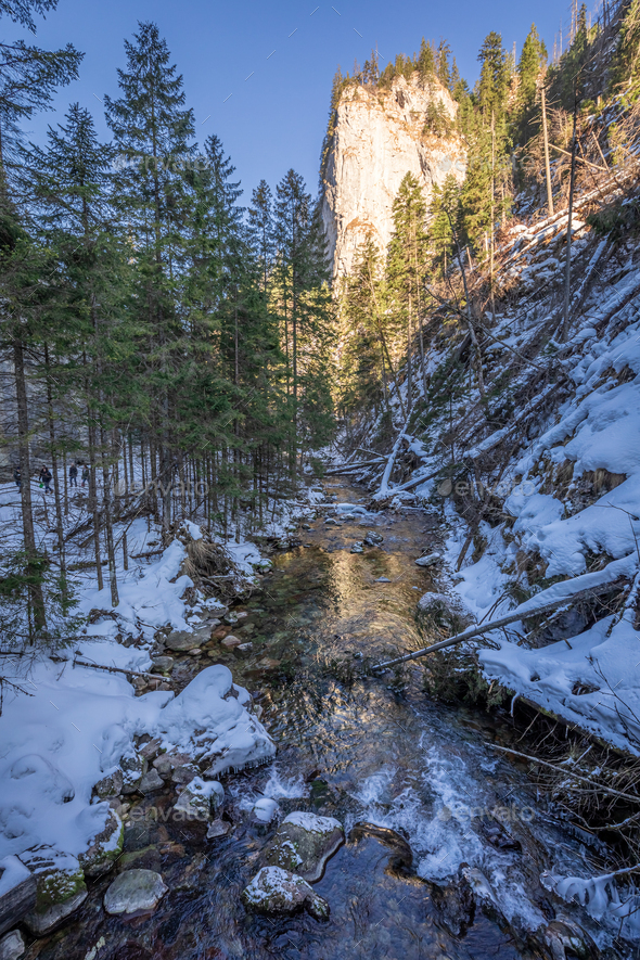 Big Rock And Snowy River In Koscieliska Valley In Tatras Stock Photo By