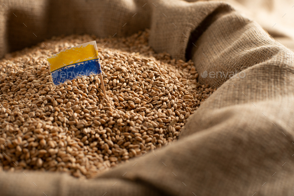 Burlap Sack With Wheat Grains And Ukrainian Flag Concept Stock Photo By