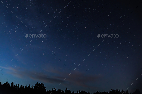 Night Starry Sky Over Forest Tree Silhouettes Against Backdrop Of