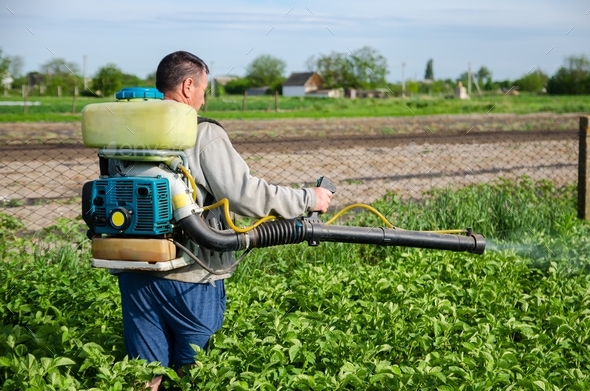 A Farmer Sprays Chemicals On A Potato Plantation Field Stock Photo By