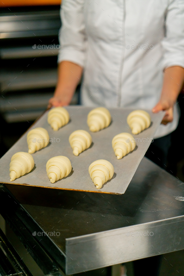 The Baker Puts Fluffy Raw Croissants Laid Out On Parchment On A Baking