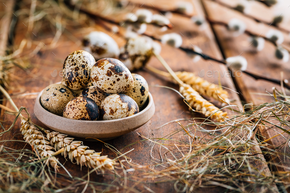 Easter Quail Eggs With Pussy Willow Branch Easter And Spring Concept