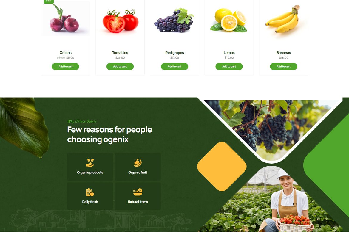 Ogenix Organic Food Store Elementor Template Kit By Surisoft