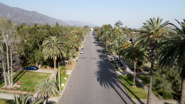 Aerial View Of Palm Tree Lined Street In Pasadena Neighborhood In